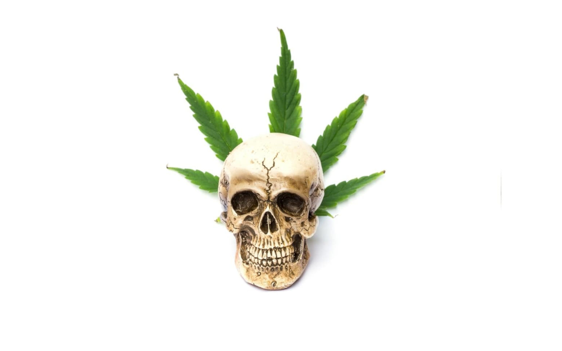 Czy okazjonalne używanie marihuany jest szkodliwe?