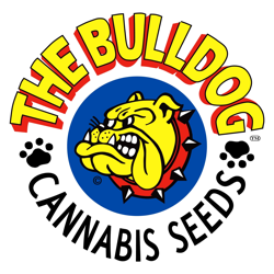 The Bulldog Seeds