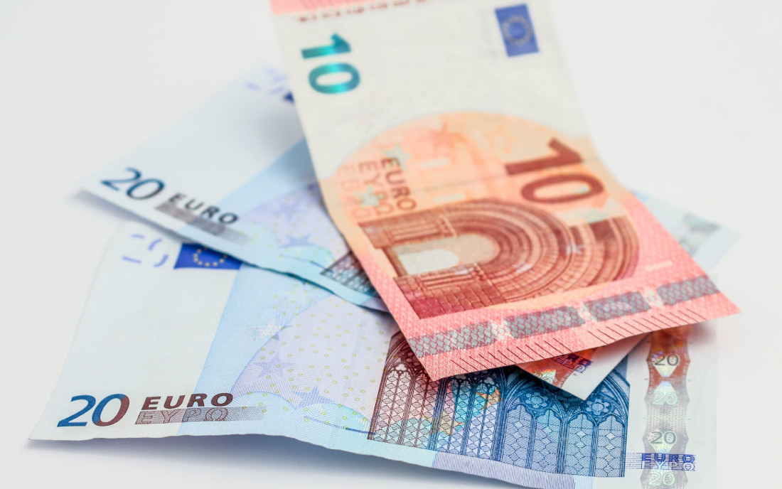 TOP 5 odmian na potrzeby komercyjne