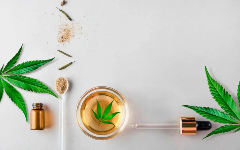 Trendy w produktach konopnych (kosmetyki, żywność, napoje i suplementy diety)