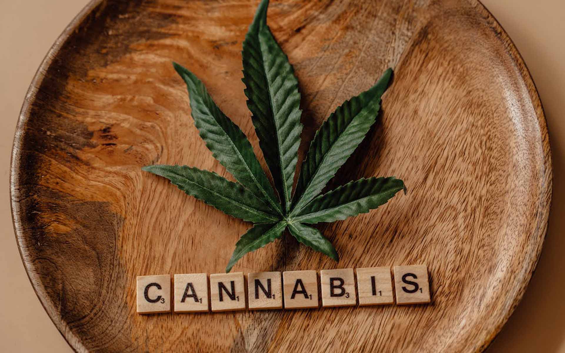 Trendy w uprawie nasion marihuany (uprawa organiczna, uprawa przemysłowa)