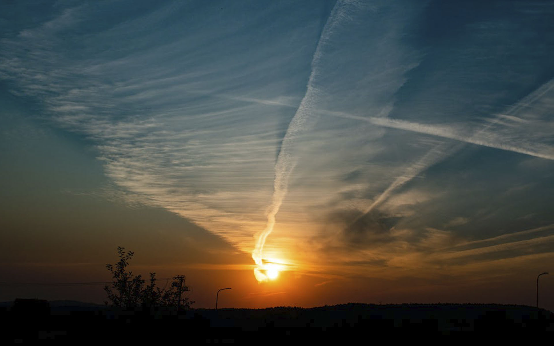 Czym jest zanieczyszczanie światłem i jaki ma wpływa na rośliny?