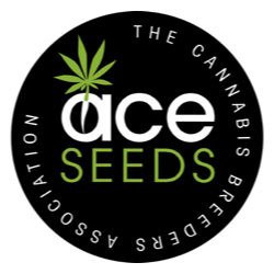 Ace Seeds