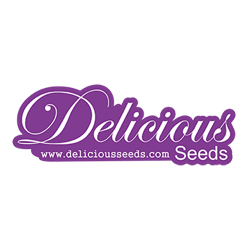 Delicious Seeds