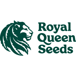Royal Queen Seeds