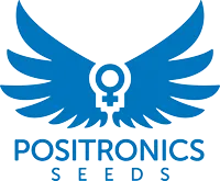 Positronics