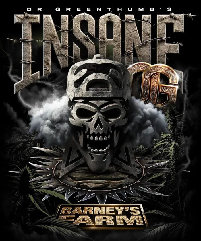 nasiona marihuany insane og od barney's farm